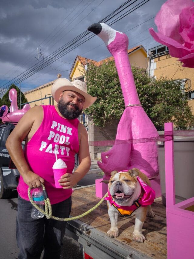 PXL_20240706_231025980.RAW-02.ORIGINAL