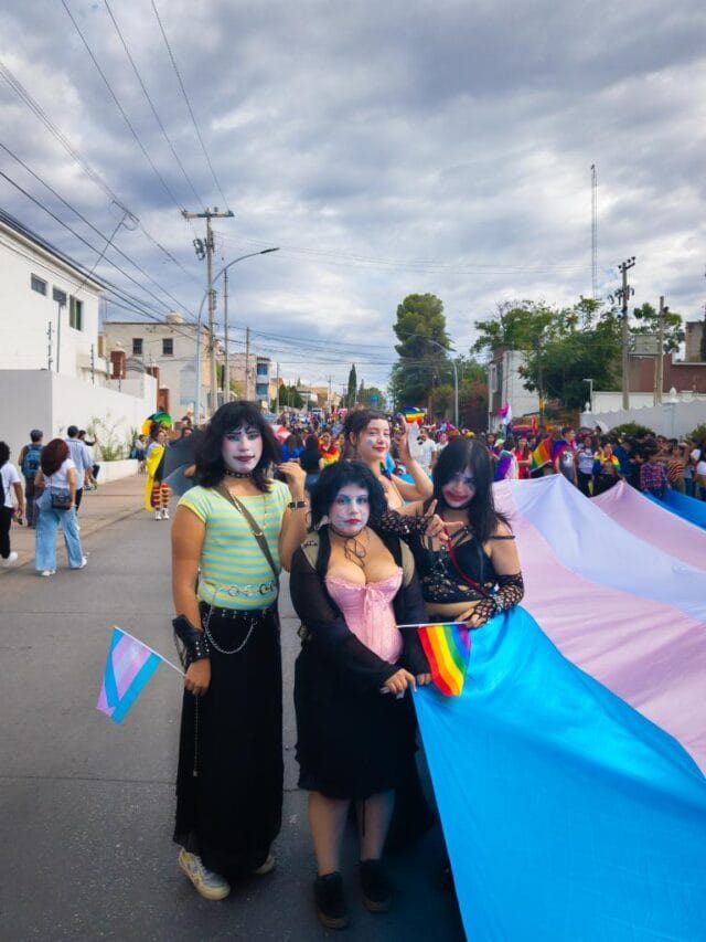 PXL_20240706_233339133.RAW-02.ORIGINAL