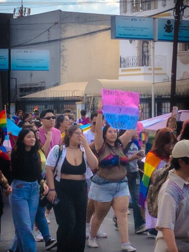 PXL_20240706_234404696.RAW-02.ORIGINAL