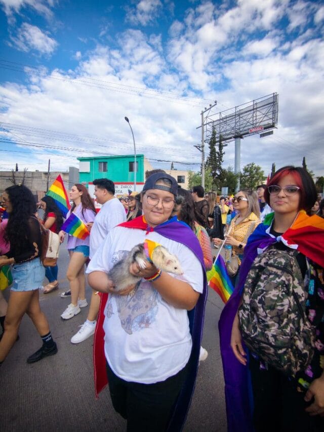 PXL_20240706_235051304.RAW-02.ORIGINAL