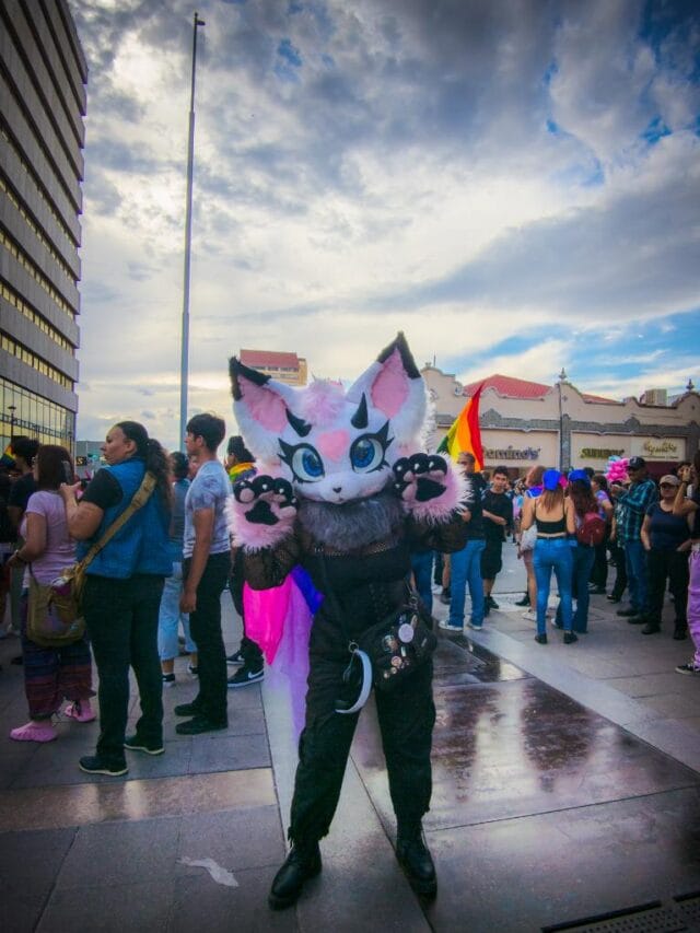 PXL_20240707_002444998.RAW-02.ORIGINAL