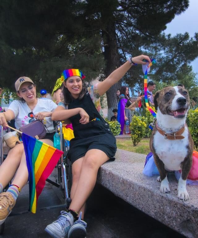 PXL_20240707_005830355.RAW-02.ORIGINAL