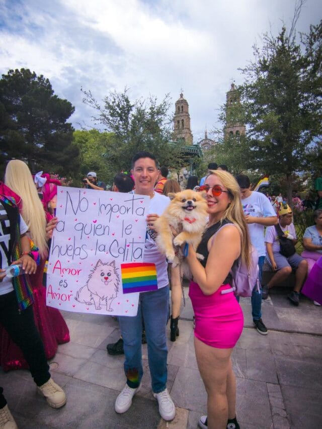 PXL_20240707_010213006.RAW-02.ORIGINAL