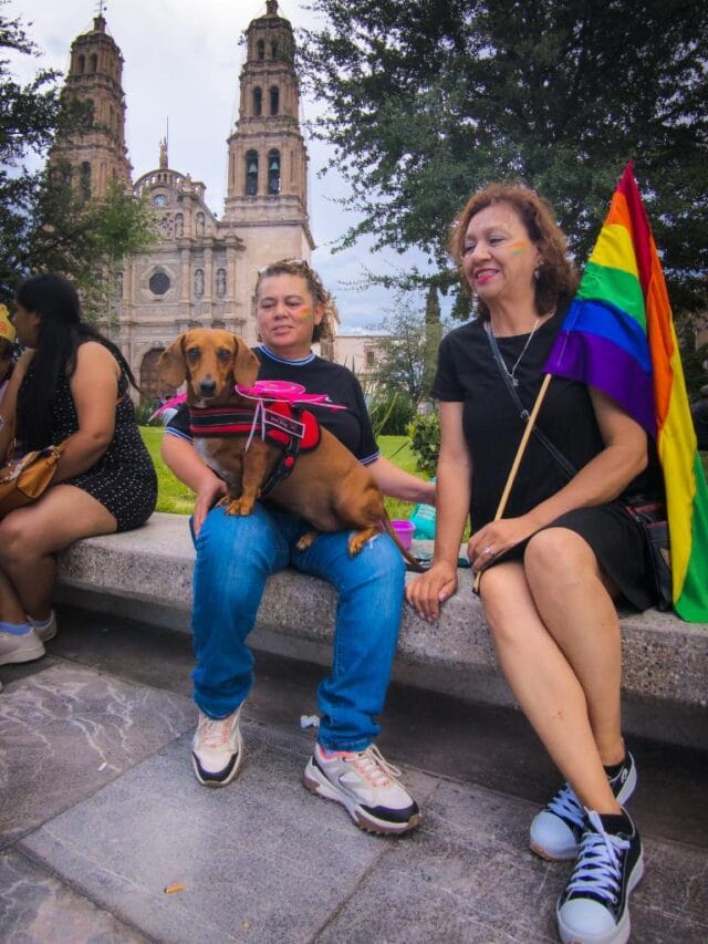 PXL_20240707_010627212.RAW-02.ORIGINAL